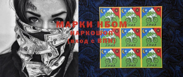 гашик Майский