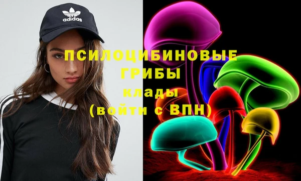 гашик Майский