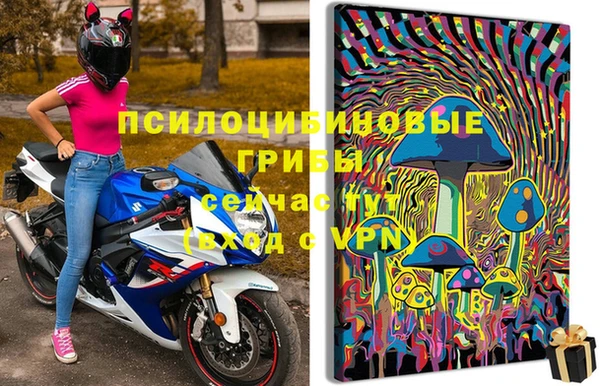 мдпв Магас