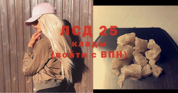 гашик Майский