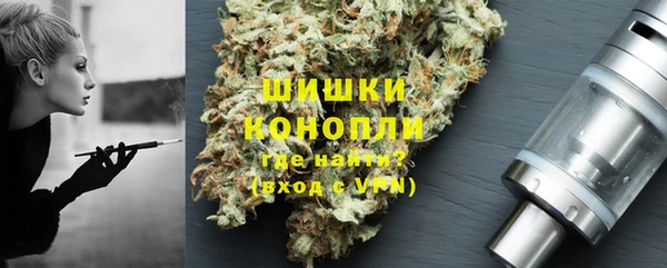 гашик Майский